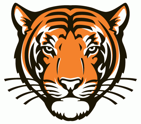 Princeton Tigers 2003-Pres Alternate Logo diy iron on heat transfer